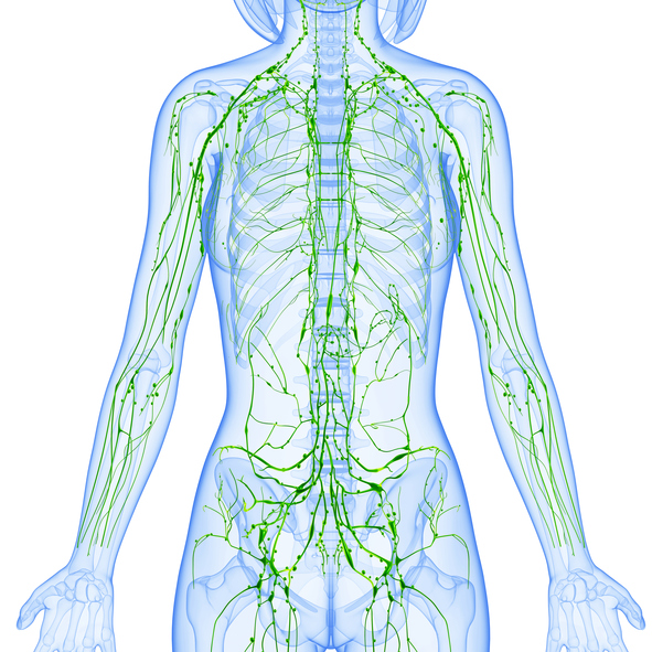 Manual Lymphatic Drainage Massage Seattle