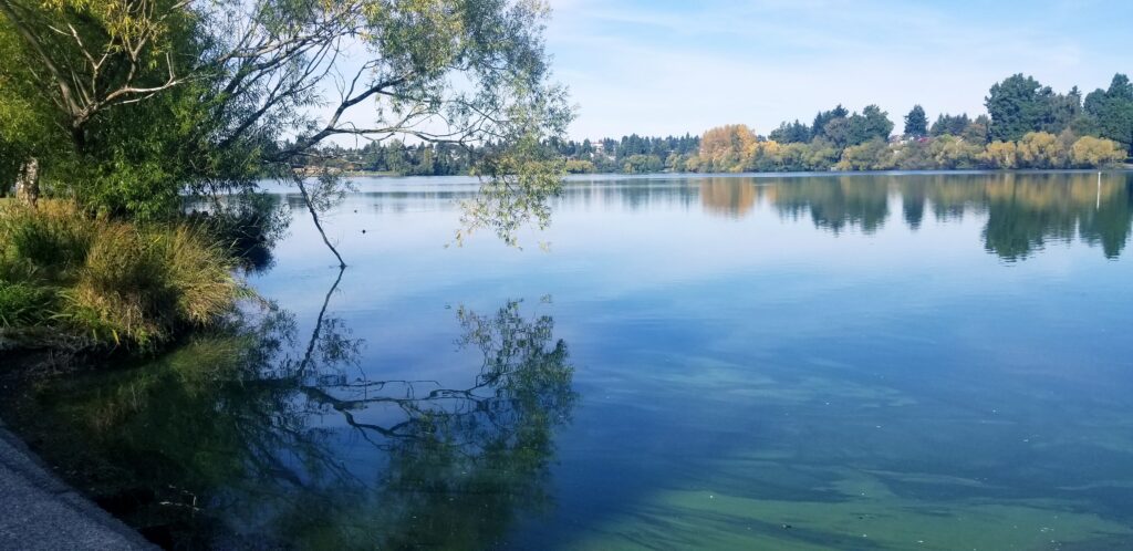 Walking Greenlake is one of my favorite resources for healing trauma in Seattle. Today was beautiful! 